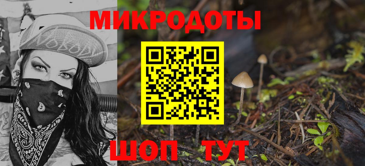 Галлюциногенные грибы Cubensis Кинешма