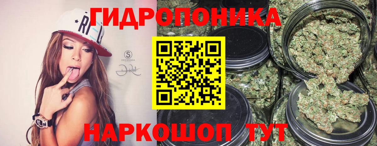 Марихуана LSD WEED  МАРИХУАНА гибрид  Кинешма  Вход с VPN 